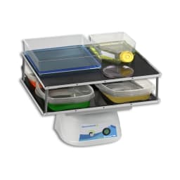 BenchRocker 2D Variable Speed Rocker, 14×12" Flat Mat , 115/230 V - Mixing Agitation | Shop Online | Legacy Lab Supplies