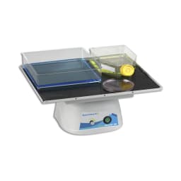 BenchRocker 2D Variable Speed Rocker, 14×12" Flat Mat , 115/230 V - Additional View | Legacy Lab Supplies