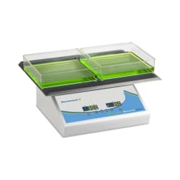 Everlast Rocker with Variable Speed and Flat Mat , 115/230 V - Mixing Agitation | Shop Online | Legacy Lab Supplies
