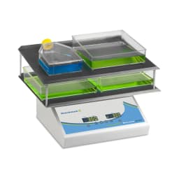 Everlast Rocker with Variable Speed and Flat Mat , 115/230 V - Additional View | Legacy Lab Supplies