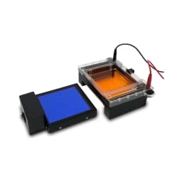 myGel InstaView Gel Tank with Blue LED Illuminator , 115 V - Additional View | Legacy Lab Supplies