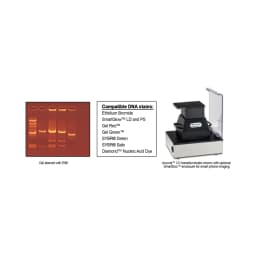 Accuris™ UV Transilluminator , 115 V - Additional View | Legacy Lab Supplies
