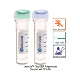 Accuris Taq DNA Polymerase, 500 Units - Reagents Kits | Order Online | Legacy Lab Supplies