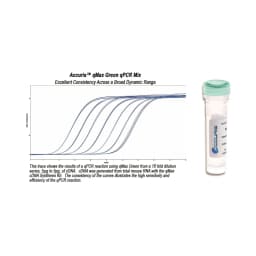 Accuris qMAX Green qPCR Mix, No ROX, Sample (PR2000-N-S, 20 Reactions) - Reagents Kits | Order Online | Legacy Lab Supplies