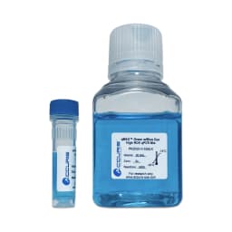 Accuris qMAX Green qPCR Mix, No ROX, Sample (PR2000-N-S, 20 Reactions) - Additional View | Legacy Lab Supplies