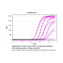 Accuris qMAX Green One-Step RT-qPCR Kit, No ROX, Sample (PR2120-N-S, 20 Reactions) - Reagents Kits | Order Online | Legacy Lab Supplies