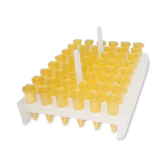 Tube Rack for 48 × 1.5/2.0 mL Tubes Tube Rack for 48 × 1.5/2.0 mL Tubes | Legacy Lab Supplies