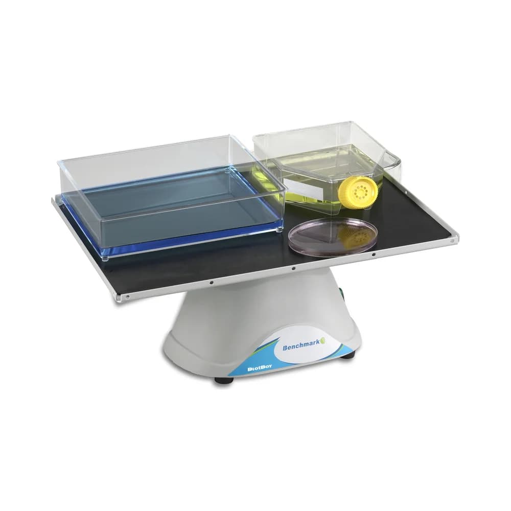 BlotBoy 3D Rocker, Fixed Speed, 12×12" Platform with Flat Mat , 115 V - 3D Rockers | Legacy Lab Supplies