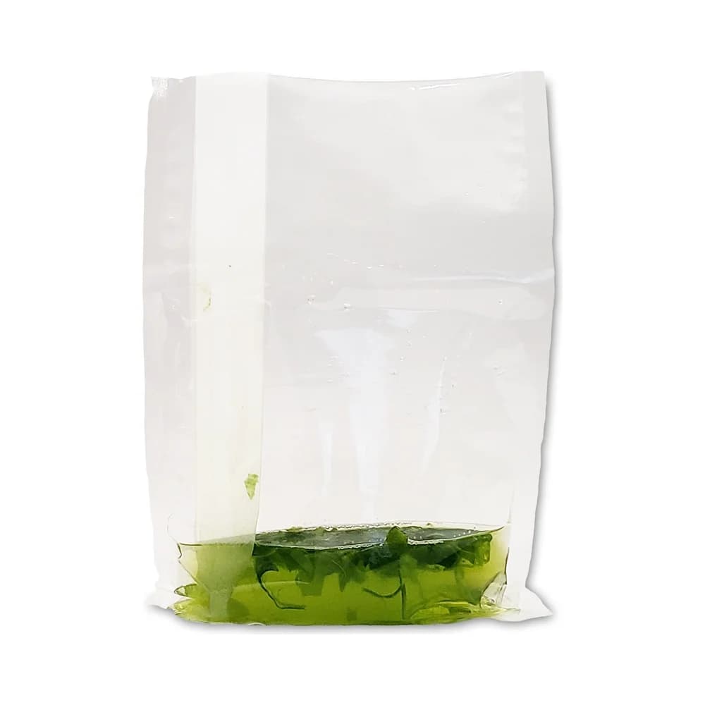 Lateral / Side Filter Blender Bags for BenchMasher 400 (IPD4400-B400F1, 500/pk) - Homogenizer Consumables | Legacy Lab Supplies