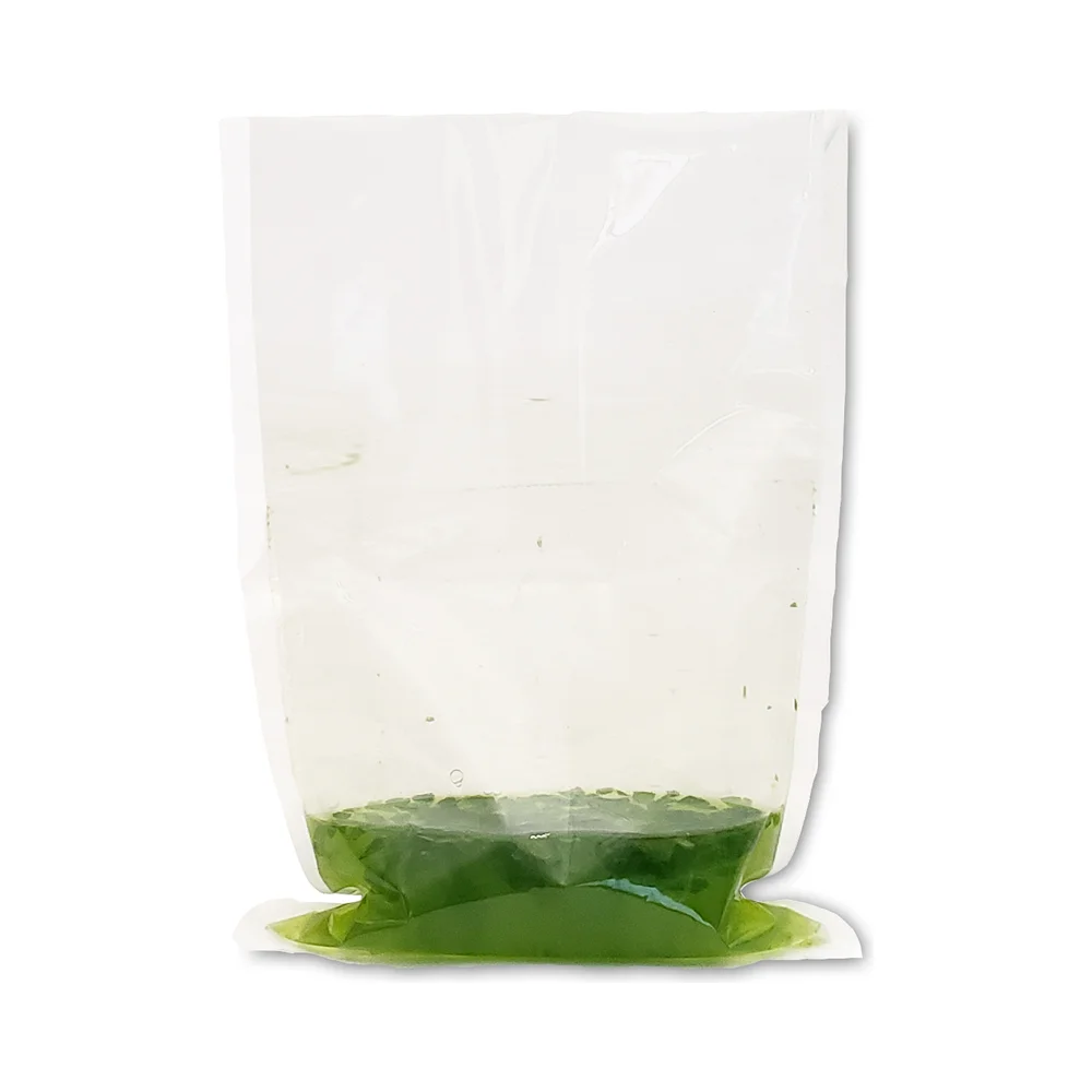 Full Filter Blender Bags for BenchMasher 400 (IPD4400-B400F2, 500/pk) - Homogenizer Consumables | Legacy Lab Supplies