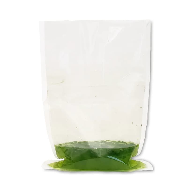 Full Filter Blender Bags for BenchMasher 400 (IPD4400-B400F2, 500/pk) - Laboratory Equipment | Legacy Lab Supplies