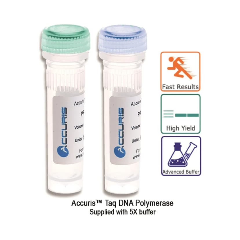 Accuris Taq DNA Polymerase, 1000 Units - Laboratory Equipment | Legacy Lab Supplies