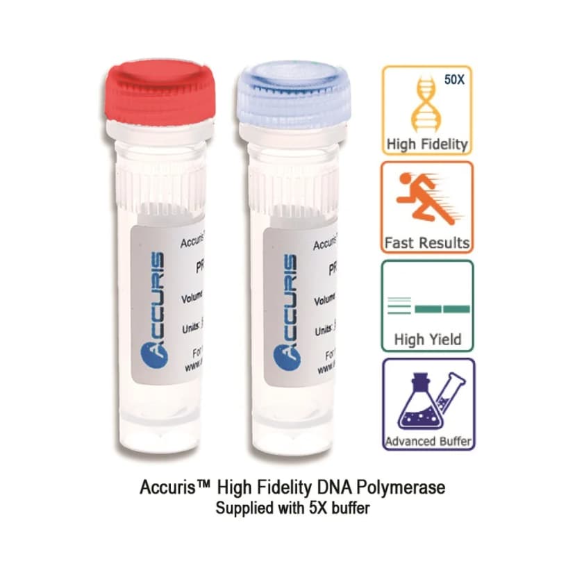 Accuris High Fidelity DNA Polymerase, 1,000 Units - Laboratory Equipment | Legacy Lab Supplies