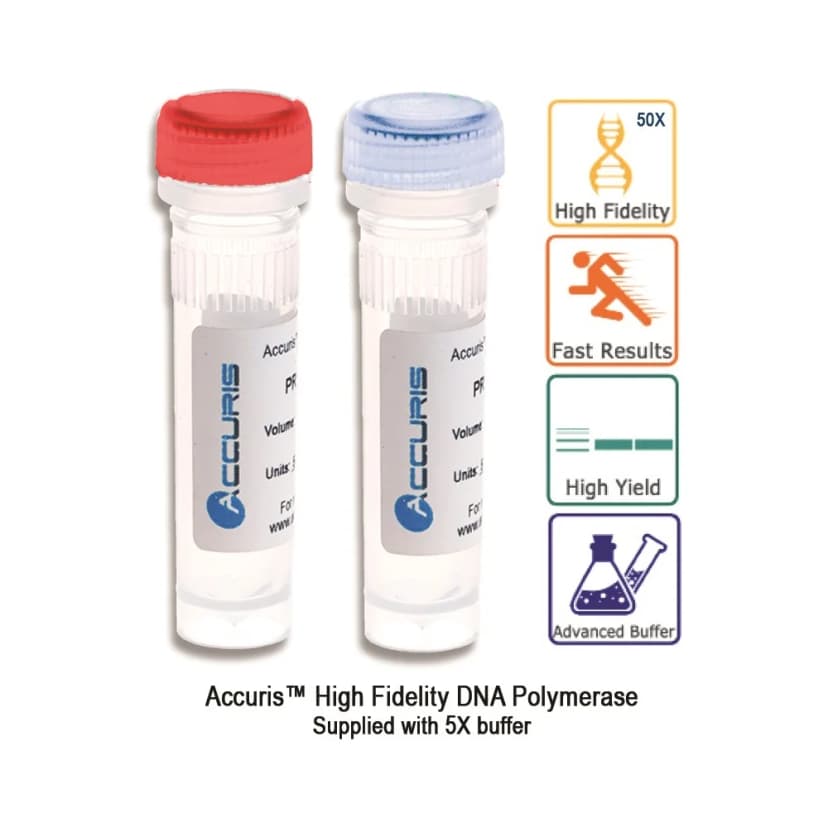 Accuris High Fidelity DNA Polymerase, 200 Units - Laboratory Equipment | Legacy Lab Supplies