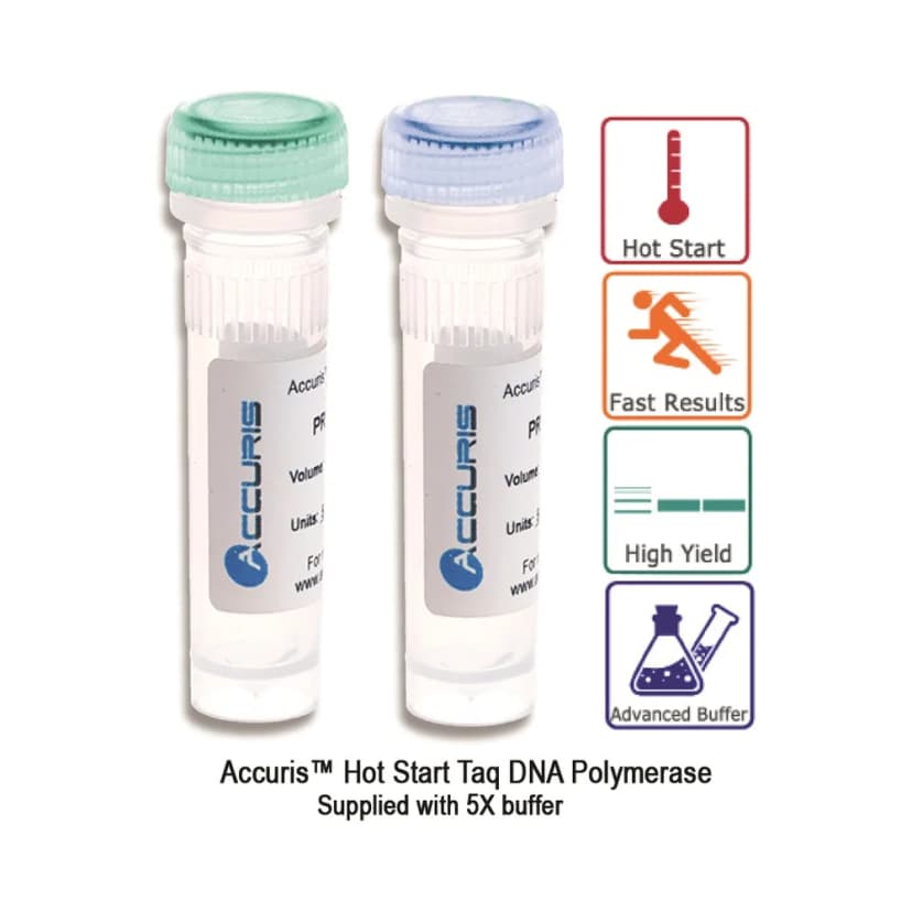 Accuris Hot Start Taq DNA Polymerase, 500 Units - Laboratory Equipment | Legacy Lab Supplies