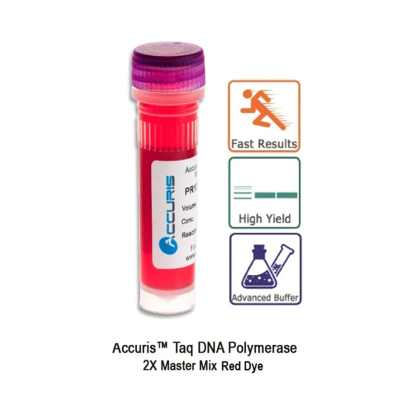 Accuris Taq Master Mix Red Dye, Sample (PR1001-R-S, 5 Reactions) - Laboratory Equipment | Legacy Lab Supplies