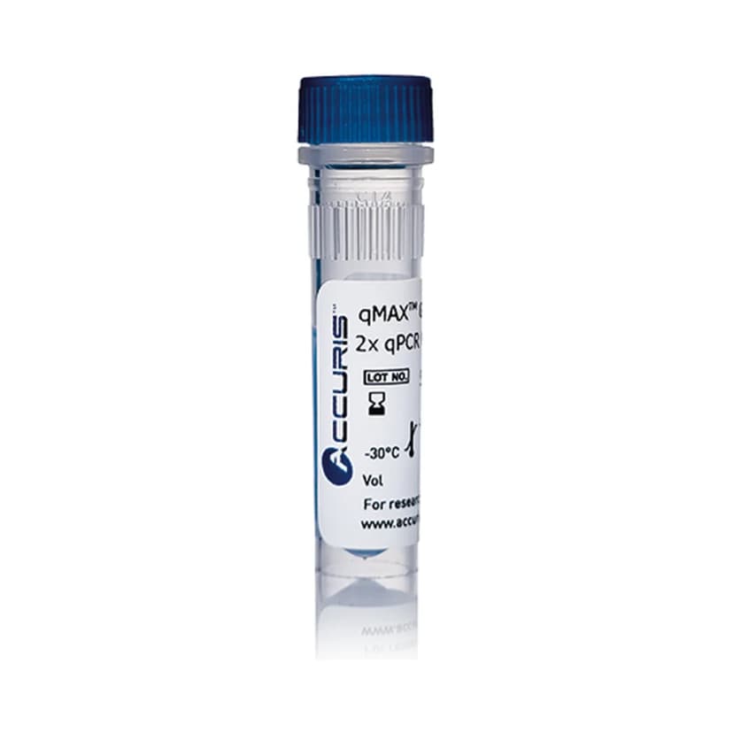 Accuris qMAX Green qPCR Mix, No ROX, 100 Reactions - Laboratory Equipment | Legacy Lab Supplies