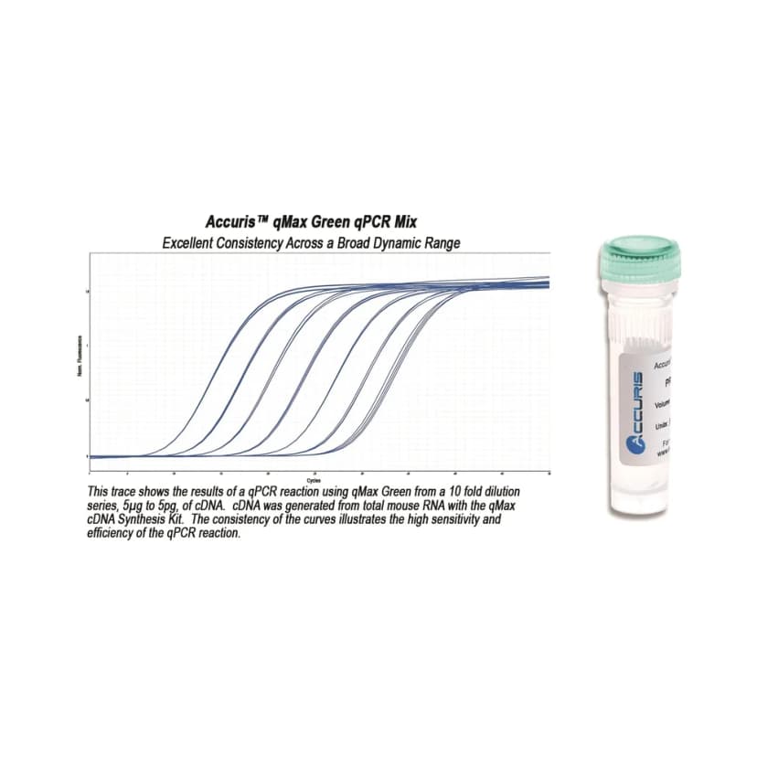 Accuris qMAX™ SYBR Green qPCR Mix, No ROX, 2,500 Reactions Bulk - Laboratory Equipment | Legacy Lab Supplies