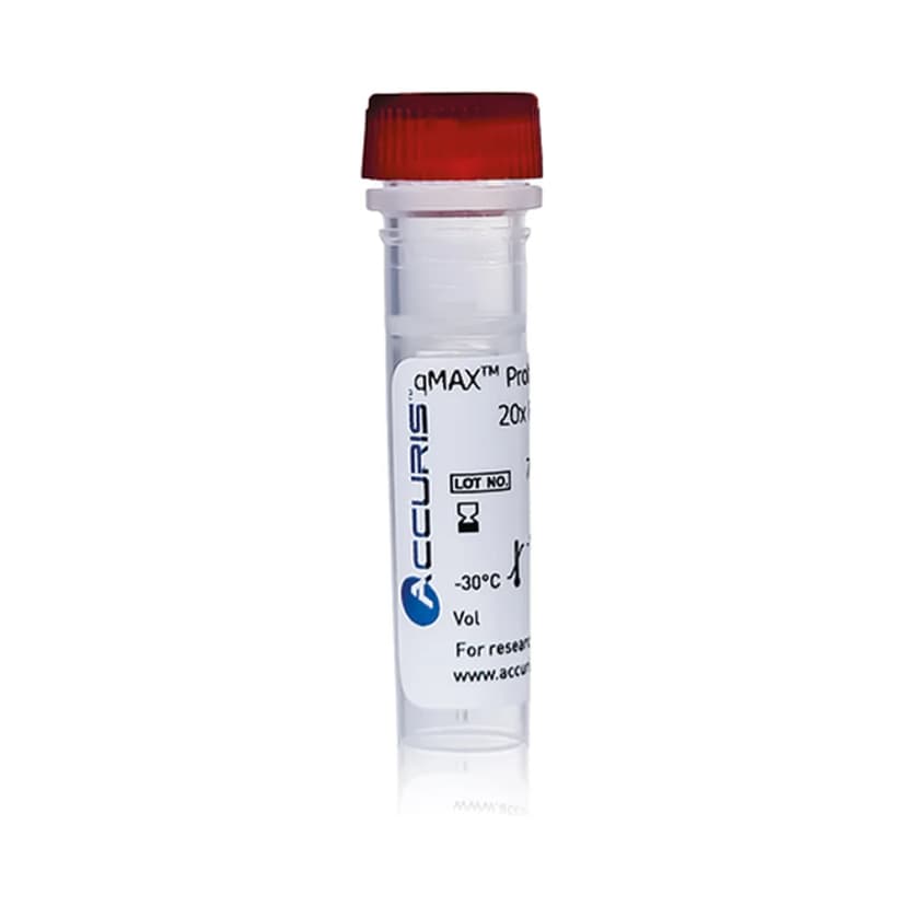 Accuris qMAX Probe qPCR Mix, No ROX, 1000 Reactions - Laboratory Equipment | Legacy Lab Supplies