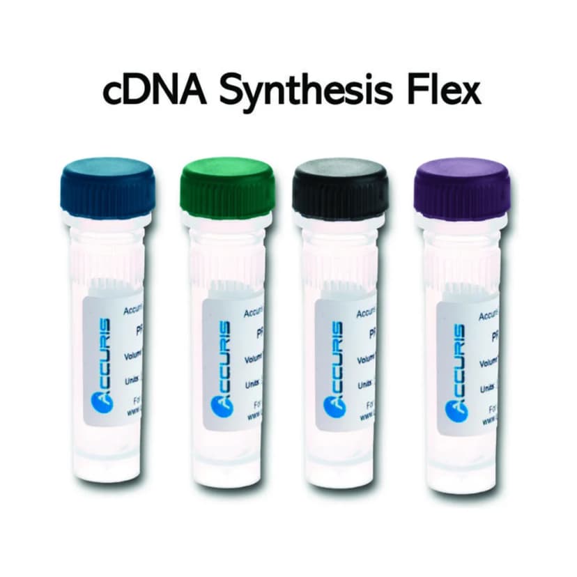 Accuris qMAX First Strand cDNA Synthesis Flex Kit, 200 Reactions - Laboratory Equipment | Legacy Lab Supplies