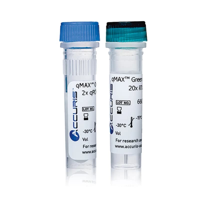Accuris qMAX Green One-Step RT-qPCR Kit, No ROX, 100 Reactions - Laboratory Equipment | Legacy Lab Supplies