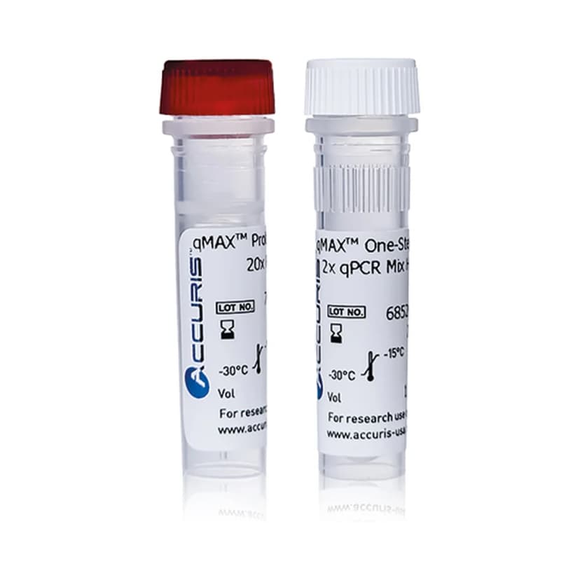 Accuris qMAX Probe One-Step RT-qPCR Kit, No ROX, 100 Reactions - Laboratory Equipment | Legacy Lab Supplies