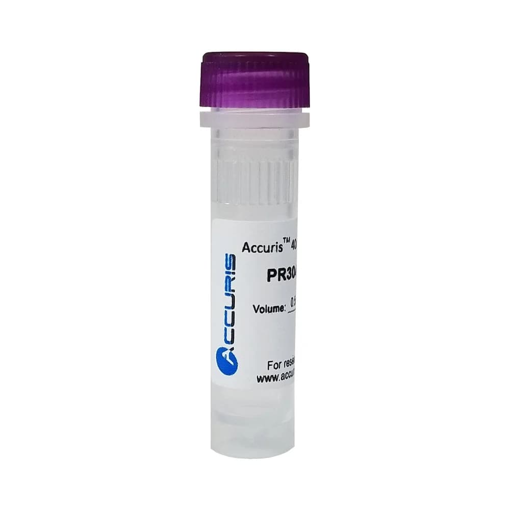 40 mM dNTP Mix, 10 mM Each, 2 mL - End Point PCR Reagents | Legacy Lab Supplies